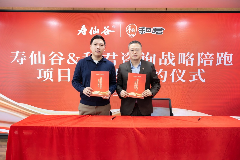 战略执行陪跑服务(战略执行五步方案案例)崇左市