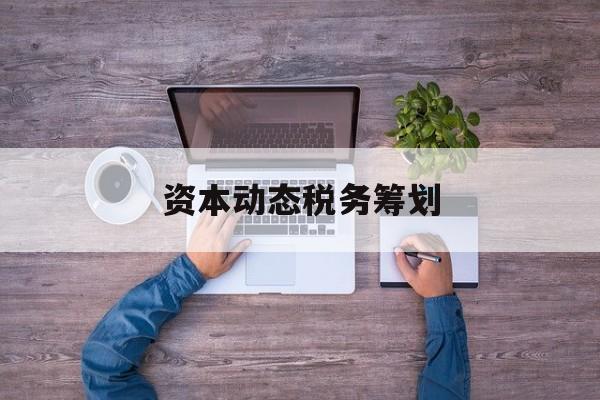 资本动态税务筹划(资本动态税务筹划案例)崇左市