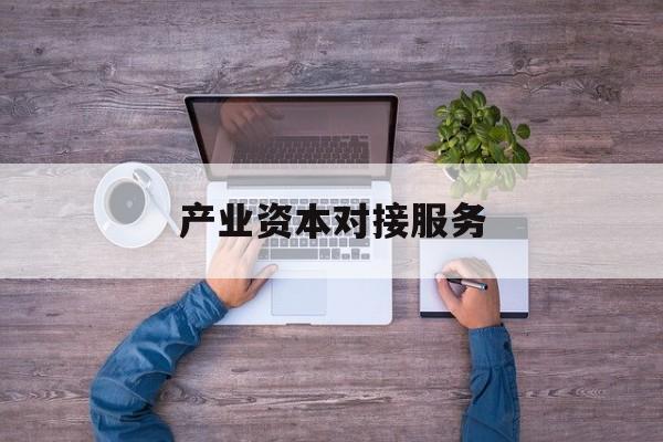 产业资本对接服务(产业资本对接服务包括哪些)崇左市